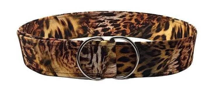 Wildcat D-Ring Belt